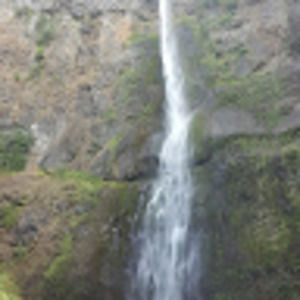 Meet your Posher, Timothy